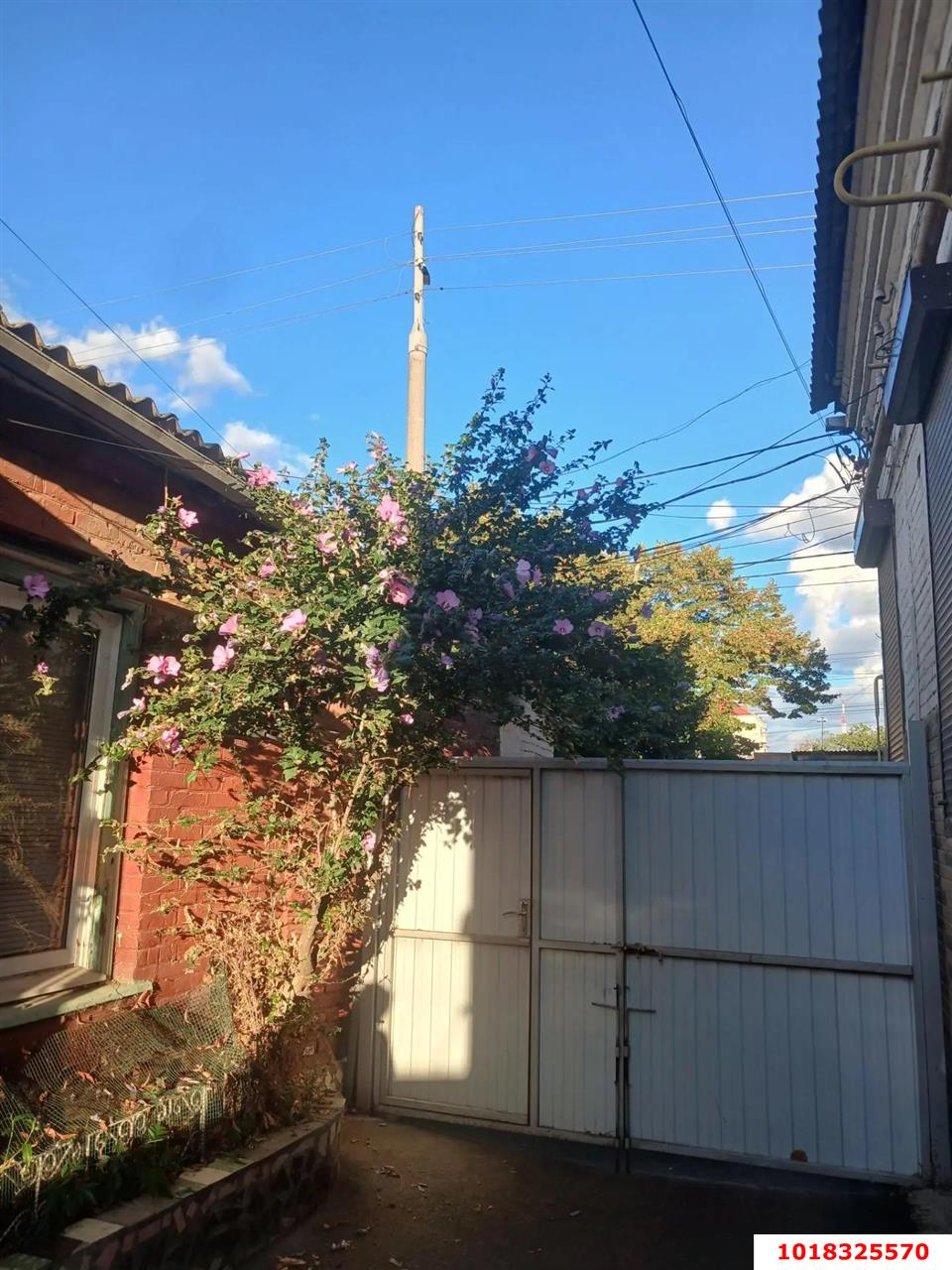 1-комнатная квартира 20 м², 1/1 эт. — фото 2